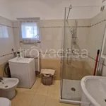 Rent 3 bedroom apartment of 80 m² in San Donato Milanese