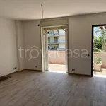 Rent 2 bedroom apartment of 50 m² in Tremestieri Etneo