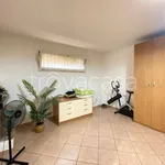 Rent 4 bedroom house of 130 m² in Perugia