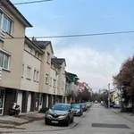 Rent 1 bedroom apartment of 39 m² in Gyor