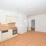 Rent 2 bedroom apartment of 39 m² in Liberec