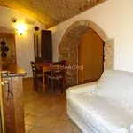 Rent 1 bedroom apartment of 38 m² in Siena