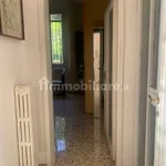 Rent 2 bedroom apartment of 60 m² in Bologna