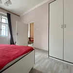 Rent 1 bedroom apartment in Prague