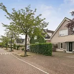 Rent 5 bedroom house of 171 m² in Rotterdam