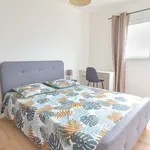 Appartement de 90 m² avec 5 chambre(s) en location à Le Tampon