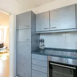 Rent 2 bedroom apartment of 46 m² in München