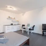 Pronajměte si 1 ložnic/e byt o rozloze 35 m² v Prague