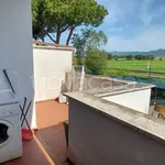 Rent 2 bedroom apartment of 52 m² in Cerveteri