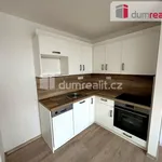 Rent 2 bedroom apartment in Pilsen