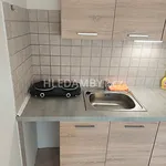 Rent 1 bedroom apartment of 29 m² in Capital City of Prague