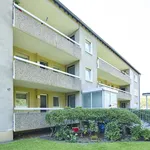 Rent 2 bedroom apartment of 46 m² in Witten