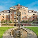 Rent 3 bedroom apartment in Blackrock