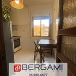 Rent 4 bedroom apartment of 67 m² in Roma