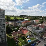 Rent 1 bedroom apartment in Chrudim