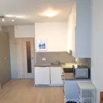 Rent 1 bedroom apartment of 30 m² in Capital City of Prague