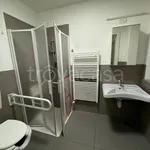 Rent 1 bedroom apartment of 20 m² in Torino