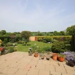 Detached bungalow to rent in Wethersfield Road, Finchingfield, Braintree CM7