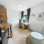 Rent 1 bedroom apartment in Leuven