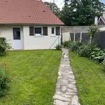 Maison de 55 m² avec 3 chambre(s) en location à Illiers-l'Évêque