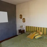 Rent 4 bedroom apartment of 145 m² in Padova