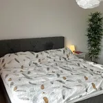 Rent 3 bedroom apartment in Dietlikon