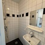 Huur 1 slaapkamer appartement van 24 m² in Utrecht