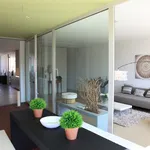 Rent 1 bedroom apartment in Zurich