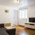 Rent 1 bedroom apartment of 42 m² in lisbon