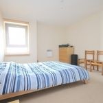 Rent 1 bedroom flat in London