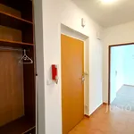 Pronajměte si 1 ložnic/e byt o rozloze 36 m² v Písek