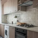 Rent 5 bedroom apartment of 150 m² in Civitanova Marche