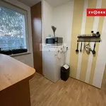 Rent 2 bedroom apartment of 45 m² in Zlín