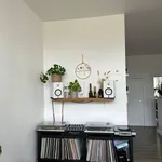 Rent 1 bedroom apartment in Antwerpen