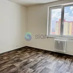 Rent 3 bedroom apartment in Ostrava