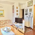 Rent 2 bedroom apartment of 65 m² in forte dei marmi