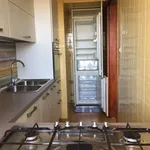 Rent 3 bedroom apartment of 95 m² in Bari