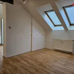 Rent 3 bedroom apartment of 93 m² in Praha