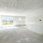 Affitto 5 camera casa di 238 m² in Bassano del Grappa