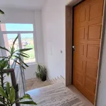 Rent 3 bedroom apartment of 50 m² in Roma