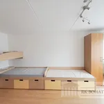 Rent 4 bedroom apartment of 80 m² in Prague