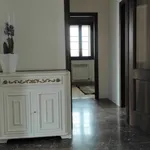 Rent 1 bedroom apartment of 200 m² in ponte san nicolo