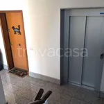 Rent 2 bedroom apartment of 40 m² in Roma