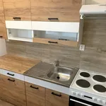 Rent 1 bedroom apartment of 37 m² in Valašské Meziříčí