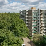 Huur 1 slaapkamer appartement van 60 m² in Doorwerth