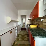 Rent 2 bedroom apartment in Blansko