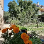 Rent 4 bedroom apartment of 120 m² in Tagliacozzo