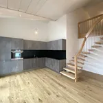 Rent 5 bedroom apartment of 97 m² in Mont-Vully