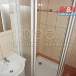 Rent 1 bedroom apartment in Františkovy Lázně