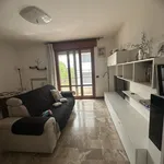 Rent 3 bedroom apartment of 100 m² in Padova